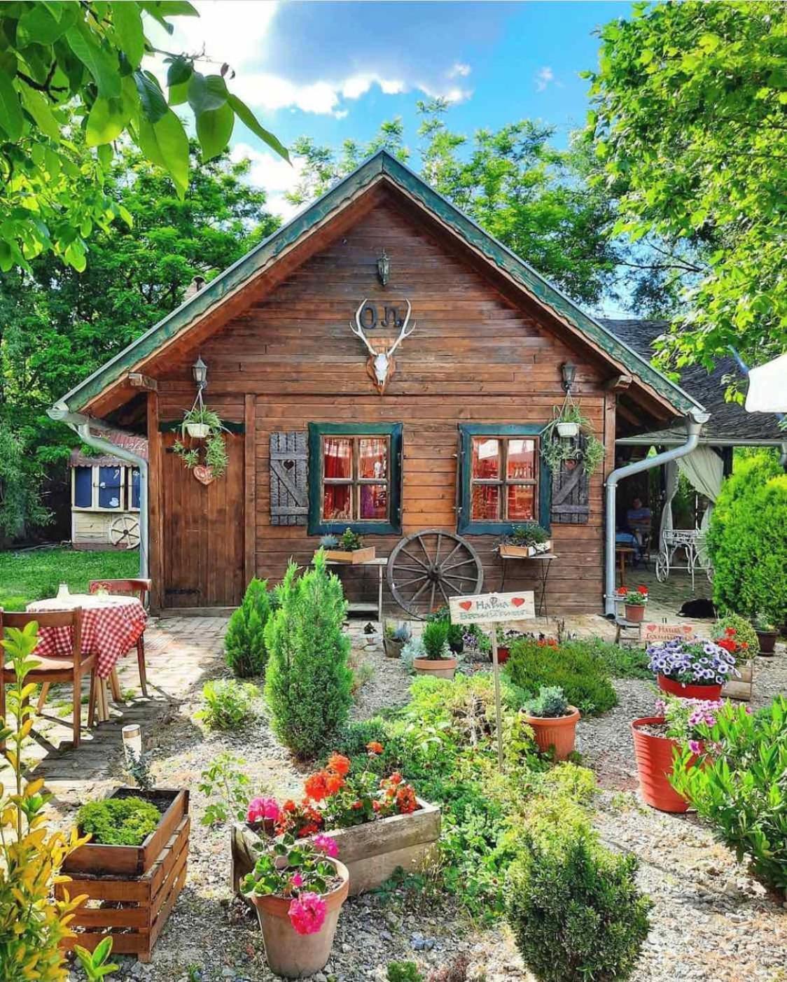 Wood Mood Apartman Tiganjica Stajicevo Εξωτερικό φωτογραφία